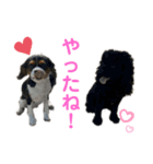 あおさんち！（個別スタンプ：13）