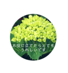 紫陽花の言葉（個別スタンプ：1）