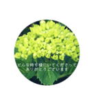 紫陽花の言葉（個別スタンプ：28）