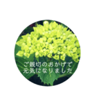 紫陽花の言葉（個別スタンプ：30）