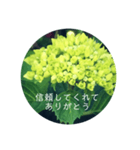 紫陽花の言葉（個別スタンプ：32）