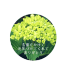 紫陽花の言葉（個別スタンプ：33）