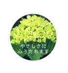 紫陽花の言葉（個別スタンプ：37）