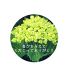 紫陽花の言葉（個別スタンプ：39）