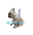 ゆきち君（個別スタンプ：3）