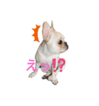 ゆきち君（個別スタンプ：7）