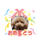 デカプーモカの楽しいスタンプ（個別スタンプ：13）