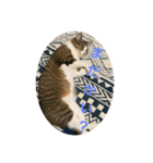 ポムの気（個別スタンプ：2）