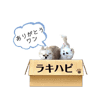 ラキハピ！！（個別スタンプ：26）