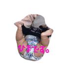 日常で使えるもあすたんぷ（個別スタンプ：23）