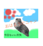 可愛い猫ちゃんだろー（個別スタンプ：5）