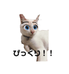 しろねこラテ（個別スタンプ：3）