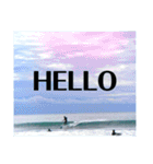 LIP'S SURF サーフィン写真のあいさつ系！（個別スタンプ：1）