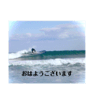 LIP'S SURF サーフィン写真のあいさつ系！（個別スタンプ：2）