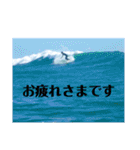 LIP'S SURF サーフィン写真のあいさつ系！（個別スタンプ：4）