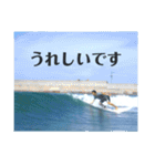 LIP'S SURF サーフィン写真のあいさつ系！（個別スタンプ：10）