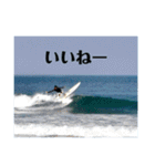 LIP'S SURF サーフィン写真のあいさつ系！（個別スタンプ：13）