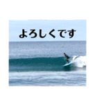 LIP'S SURF サーフィン写真のあいさつ系！（個別スタンプ：17）