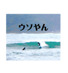 LIP'S SURF サーフィン写真のあいさつ系！（個別スタンプ：30）