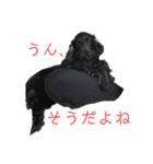 表情豊かなEmmaちゃんの日常_Vol.2（個別スタンプ：3）