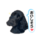 表情豊かなEmmaちゃんの日常_Vol.2（個別スタンプ：5）