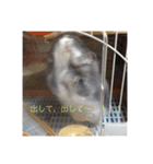 ググちゃん(グレーのうさぎ)（個別スタンプ：4）