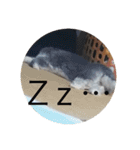 ググちゃん(グレーのうさぎ)（個別スタンプ：17）
