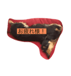 動物物語実写版1（個別スタンプ：6）
