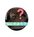 琥珀のスタンプ！！！（個別スタンプ：2）