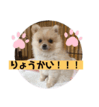 琥珀のスタンプ！！！（個別スタンプ：4）