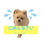 琥珀のスタンプ！！！（個別スタンプ：6）