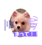 琥珀のスタンプ！！！（個別スタンプ：7）