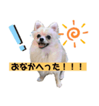 琥珀のスタンプ！！！（個別スタンプ：10）