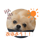 琥珀のスタンプ！！！（個別スタンプ：12）