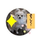 琥珀のスタンプ！！！（個別スタンプ：14）