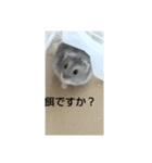 せく（個別スタンプ：6）