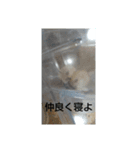 せく（個別スタンプ：8）