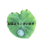 懸命に生きるお花たち（個別スタンプ：1）