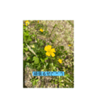 懸命に生きるお花たち（個別スタンプ：18）