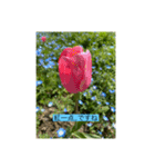 懸命に生きるお花たち（個別スタンプ：20）