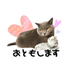 にゃんこの『たま＆こたま』（個別スタンプ：15）