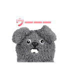 【実写】GARIPŪ（個別スタンプ：2）