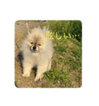 れお↑ぽん↓（個別スタンプ：2）