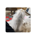 れお↑ぽん↓（個別スタンプ：4）