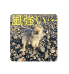 れお↑ぽん↓（個別スタンプ：5）