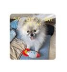れお↑ぽん↓（個別スタンプ：6）