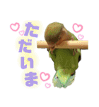 コザクラインコのくりんちゃん（個別スタンプ：15）