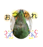 コザクラインコのくりんちゃん（個別スタンプ：18）