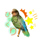 コザクラインコのくりんちゃん（個別スタンプ：22）