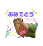 コザクラインコのくりんちゃん（個別スタンプ：25）